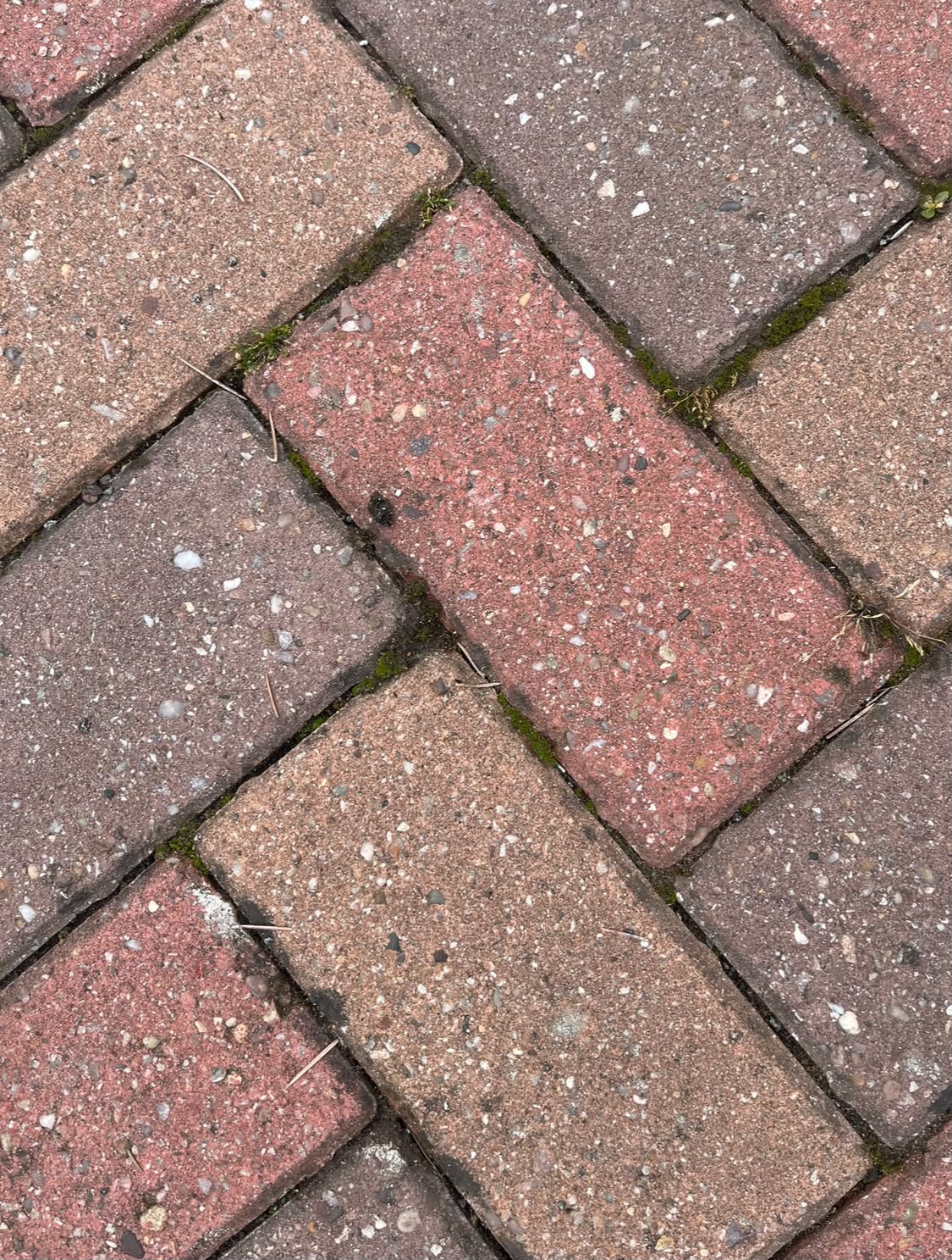 Driveway — before